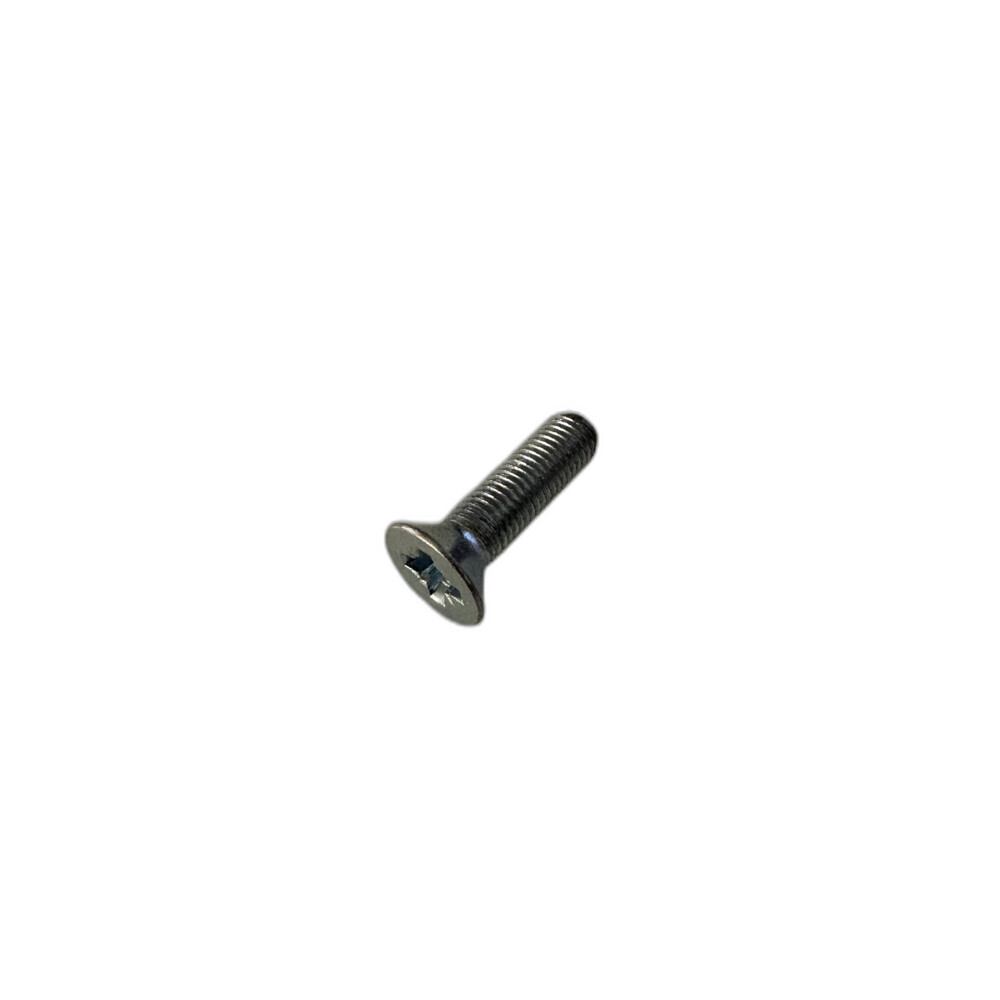 Hinge Screw 392920